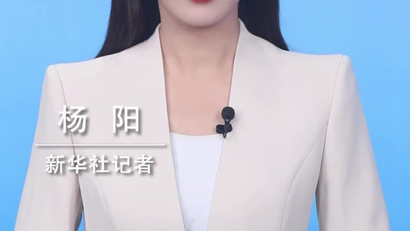中小企业数据分析系统的关键考量因素